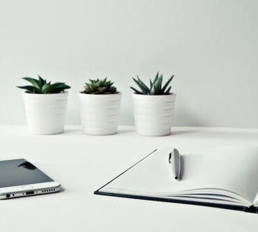 pexels-photo-796602 pexels-photo-796602